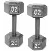 Barbell Cast Iron Dumbbell, 20 Lb. Pair - 40lbstotal